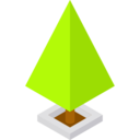 nature,botanical,tree,garden,yard,forest,pine ok 
