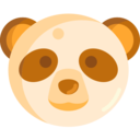 animals,cute,wild life,animal kingdom,zoo,face,fluffy,panda,extinction,exotic animal,kawaii