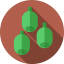 Fruits and Vegetables icon 64x64