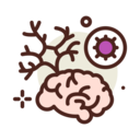 brain,healthcare and medical,organ,Infection,coronavirus,fever,damage ok 