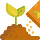 ecology and environment,nature,plant,botanical,farming and gardening,sprout,gardening,growing seed,seeds
