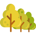 ecology and environment,landscape,nature,trees,woods,forest,pines
