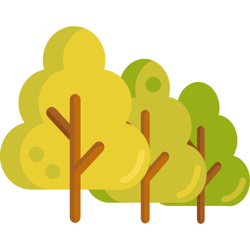 Woods