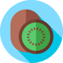 food,vegan,healthy food,food and restaurant,organic,diet,vegetarian,kiwi,fruits and vegetables