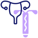 woman,women,kid and baby,vagina,uterus ok 