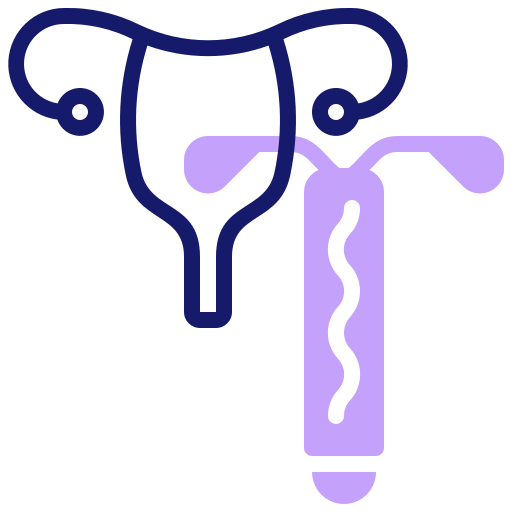 Uterus
