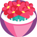 nature,botanical,valentines day,love and romance,gift,romantic,flower,blossom,bouquet,roses,flowers