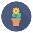decoration,nature,vase,flower,flowers,daisies
