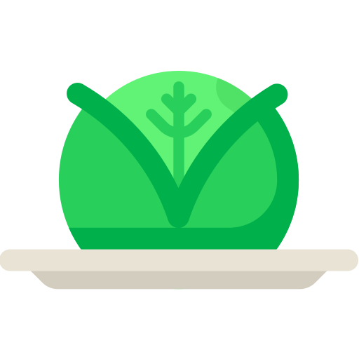 Cabbage