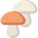 food,vegan,healthy food,food and restaurant,organic,diet,vegetarian,Fungi,mushrooms