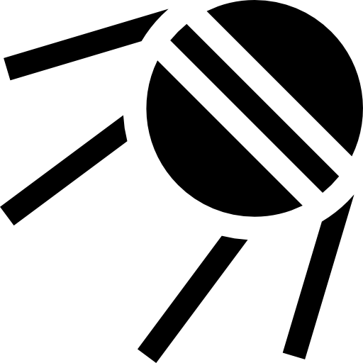 Satellite