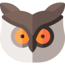 animals,wild life,animal kingdom,bird,owl,hunter ok 
