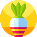 food,vegetable,vegan,healthy food,food and restaurant,organic,diet,vegetarian,radish