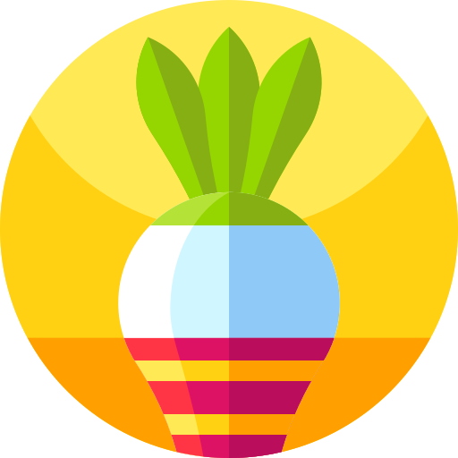 Radish