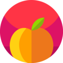 food,vegan,healthy food,food and restaurant,organic,diet,vegetarian,fruit,orange