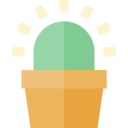 dry,nature,plant,botanical,dessert,cactus