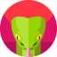 Favicon