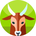 animals,wild life,animal kingdom,zoo,animal,goat