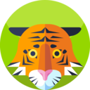 animals,mammal,wildlife,zoo,animal,wild,tiger ok 