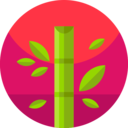 japan,nature,plant,botanical,farming and gardening,gardening,garden,plants,bamboo
