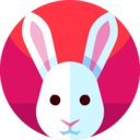 cultures,rabbit,animals,animal,new year,chinese new year