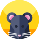 animals,mammal,wildlife,pet,mouse,animal kingdom,animal,Rodent