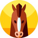 animals,mammal,wildlife,animal kingdom,zoo,horse,equine