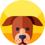 Favicon