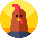 cultures,animals,bird,animal,chicken,new year,rooster,chinese new year