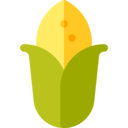 food,vegan,healthy food,food and restaurant,organic,diet,vegetarian,cereal,corn ok 