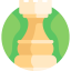 Chess icon 64x64
