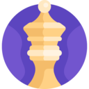 entertainment,gaming,leisure,play,board game,strategy,queen,chess piece,mental sports