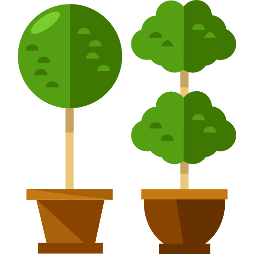 Plants