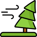 weather,trees,cold,tree,wind,storm