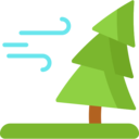 weather,trees,cold,tree,wind,storm