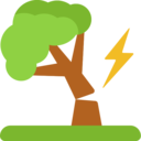 weather,nature,tree,forest,disaster,lightning,storm