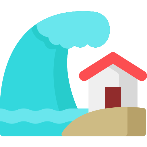 Tsunami