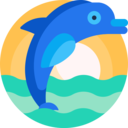 animals,nature,creature,wild life,holidays,wild,ocean,sea,dolphin,fauna,marine mammal,sealife