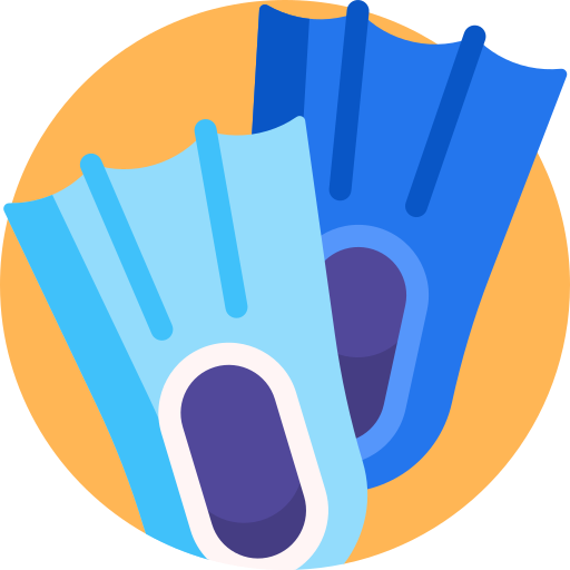 Flippers