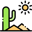sun,landscape,weather,nature,hot,sand,cactus,desert