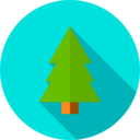 ecology and environment,landscape,nature,trees,woods,forest,pines ok 