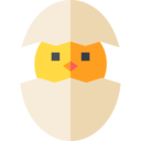 egg,animals,nature,farming and gardening,chicken,season,spring,garden,chick