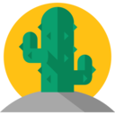 dry,nature,plant,botanical,dessert,cactus