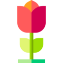 nature,botanical,farming and gardening,flower,blossom,petals,flowers,rose,pink ribbon