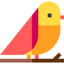 animals,wildlife,zoo,bird,animal,wild