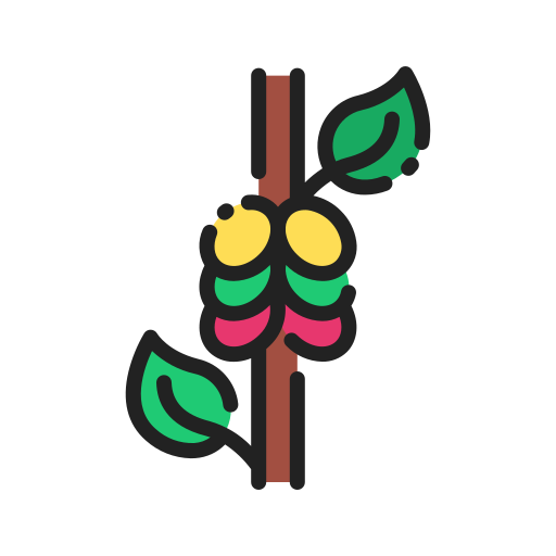 Beans