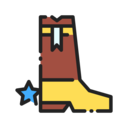 fashion,footwear,boots,shoe,boot,cowboy