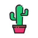 dry,nature,plant,botanical,dessert,cactus