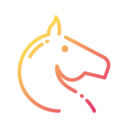animals,mammal,wild life,animal kingdom,zoo,horse,wild horse ok 