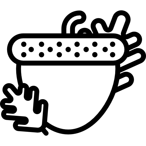 Acorn